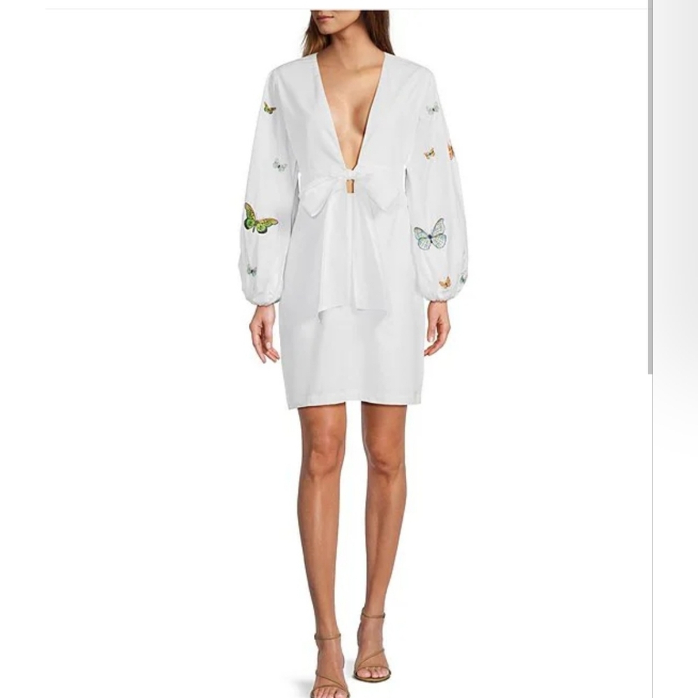 Fanm Monv. Larson Embroidered Long Sleeve V Neckline Mini Dress